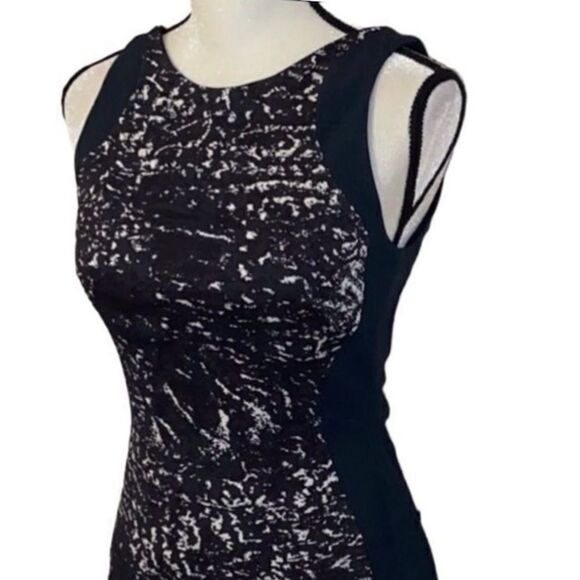 Antonio Berardi Abstract Sleeveless Crepe Sheath Dress - Picture 3 of 11